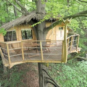 a tree house tied to a tree at Domaine de Fontaine Châtel in Saint-Germain-des-Essourts