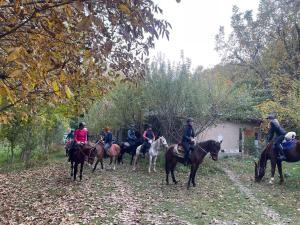 a group of people riding horses on a dirt road at Yaxshigulhomestay in Yukary-Ukhum