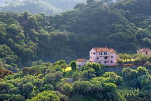 a house on the side of a mountain at Villa Zafferano in Celle Ligure