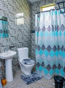 a bathroom with a toilet and a shower curtain at Valley View KK 191 in Kigali +28 photos