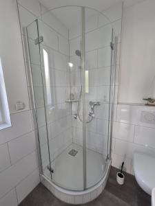 a shower with a glass door in a bathroom at Fewo Schlossbühl in Meersburg +12 photos