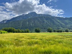 un champ d’herbe avec une montagne en arrière-plan dans l'établissement Annecy Genève & Rochexpo, à Bonneville
