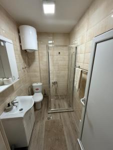 Łazienka w obiekcie Brasic Apartman