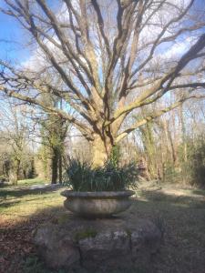 Taman di luar Un studio dans un cadre bucolique