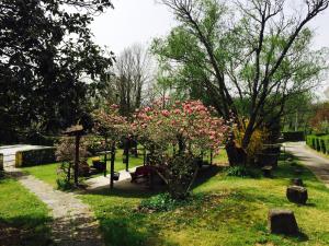 Vonkajšia záhrada v ubytovaní Agriturismo Il Bardellino