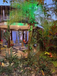 a house with a lot of plants in front of it at Vila Pequeá Ilhabela in Ilhabela