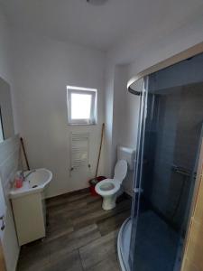 a bathroom with a toilet and a sink and a shower at Varipatti House in Slatina +59 photos