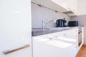 Kuchyň nebo kuchyňský kout v ubytování Terrassenwohnung 6