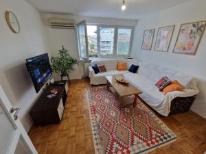 TV a/nebo společenská místnost v ubytování Matchbox Apartment Sarajevo