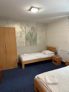 Llit o llits en una habitació de Mikulov Inn - hotel Zeme