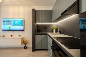 a kitchen with a sink and a counter top at Blvd Ivory Pipera ap 9b7 in Bucharest