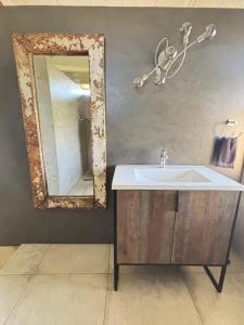 a bathroom with a sink and a mirror at La Vista Farm Stay in Ermelo