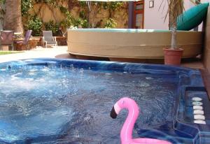 a pink flamingo in a pool in a swimming pool at Villa Bea ii in Montana la Data