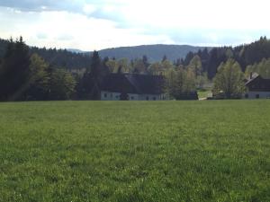 a large field of green grass with houses in the background at Apartments Dřevona II in Janov nad Nisou