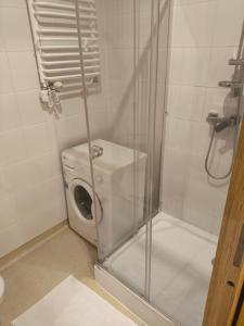 a washing machine in a shower in a bathroom at Sienkiewicza Centrum in Kielce