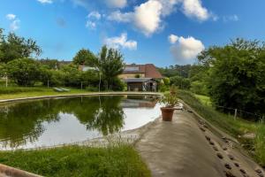 a pond in a garden with a house in the background at Chambre Bleuet in Auriac-du-Périgord