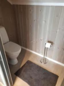 a small bathroom with a toilet and a rug at Explorers Cabin Lofoten in Offersøya