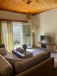 Una sala de estar con un sofá y un televisor. en Louloudi Apartment, en Tsilivi 28 fotos más