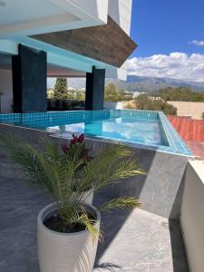 a house with a swimming pool and a potted plant at Amazing and in the chic area in Tarija