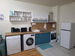 a kitchen with a washing machine and a refrigerator at Studio Anelia in Sveti Vlas