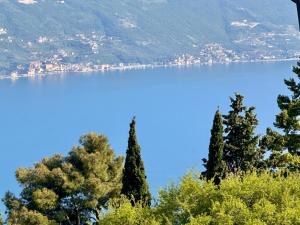 Un paisaje natural cerca del departamento