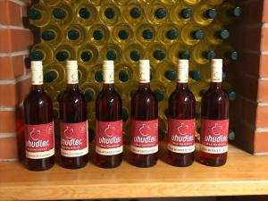 Bebidas en Modernes Kellerstöckl im Südburgenland 6 fotos más