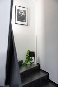 Foto de la galería de Motel by Maier Feldkirch - kontaktloser Check-in en Feldkirch 27 fotos más