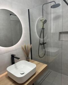 a bathroom with a sink and a shower at BALATON A KERTBEN - BALATON IN THE GARDEN - Beachfront houses with beautiful view, private beach in Balatonfenyves