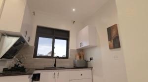 Kampala Apartments في كامبالا: مطبخ مع حوض ونافذة