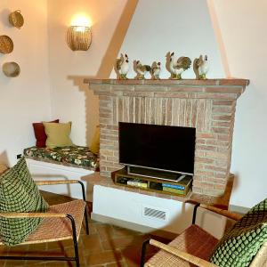 TV a/nebo společenská místnost v ubytování Appartamento con terrazza privata e giardino vicino a Pisa e Firenze