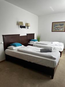 two twin beds in a room withthritisthritislictslicts at Metzgerei Herbst in Besigheim