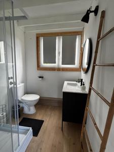 Tiny House RosaLodge的一间浴室