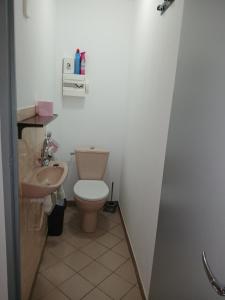 a bathroom with a toilet and a sink at gîte in Malafretaz +4 photos