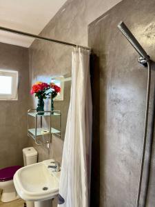 een badkamer met een douchegordijn en een wastafel bij Cortijo Maya, maison troglodyte pour 10 personnes in Alhama de Almería