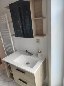 蒙斯magnifique appartement à Mons的带白色水槽和镜子的浴室