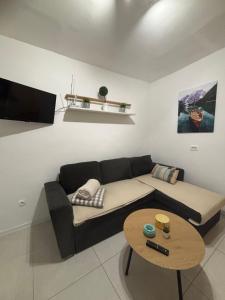 TV a/nebo společenská místnost v ubytování Apartman Rita