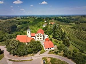 an aerial view of a large white house with red roofs at Dvorec Jeruzalem in Ivanjkovci