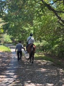 eine Person, die auf einem Pferd einen Weg entlang reitet, während ein Mann geht in der Unterkunft Casa do Esquilo in Cabeceiras de Basto