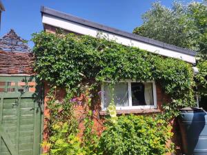 a house covered in ivy with a window at Avalon Retreat Cabin in Glastonbury