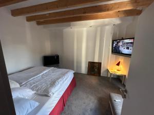 TV a/nebo společenská místnost v ubytování Exkluzivní prostorný apartmán