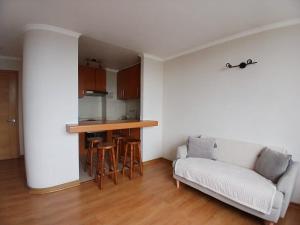 Η κουζίνα ή μικρή κουζίνα στο San Ramón 807