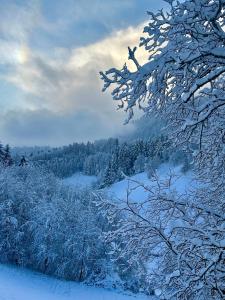 a snow covered field with trees in the distance at Tyrolyl - Ferienhaus Tirol in Inzing
