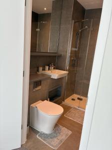 une salle de bain avec toilettes, lavabo et douche dans l'établissement Fully furnished 2 bedroom complete Apartment for 5 Guest, à CBG