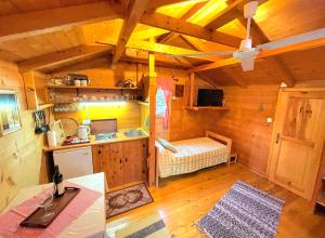 a room with a kitchen and a bedroom in a cabin at Eko apartments Drvljanik in Kaluđerac