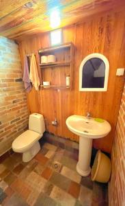 a bathroom with a toilet and a sink at Eko apartments Drvljanik in Kaluđerac +22 photos