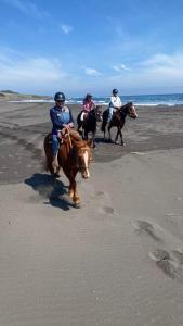 un gruppo di persone che cavalcano sulla spiaggia di Del Pangal Canto- Acceso directo a la Playa y Cabalgatas a Cáhuil