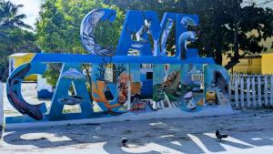 Fotografie z fotogalerie ubytování South Beach Properties v destinaci Caye Caulker
