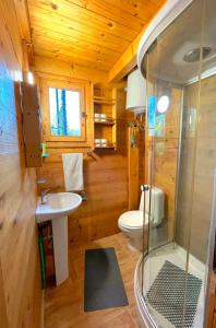 a bathroom with a toilet and a sink and a shower at Eko apartments Drvljanik in Kaluđerac