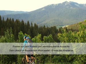 a person riding a bike on a mountain at Hotel zur Linde - Bayerischer Wald - aktivCard mit 154 kostenfreien Leistungen - kostenloser Parkplatz in Lohberg