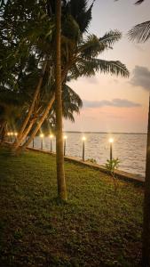 a view of the beach at night with palm trees at Blue Lagoon Sambranikodi in Nīndakara
